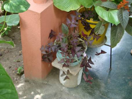 DSC01622